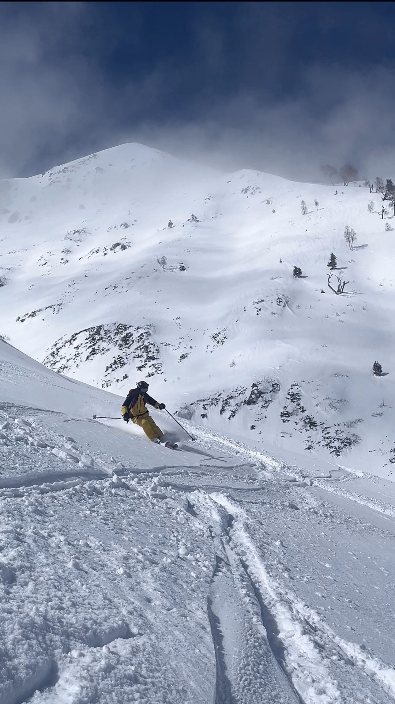 Skier carving a fresh line down a snow covered slope in Gulmarg