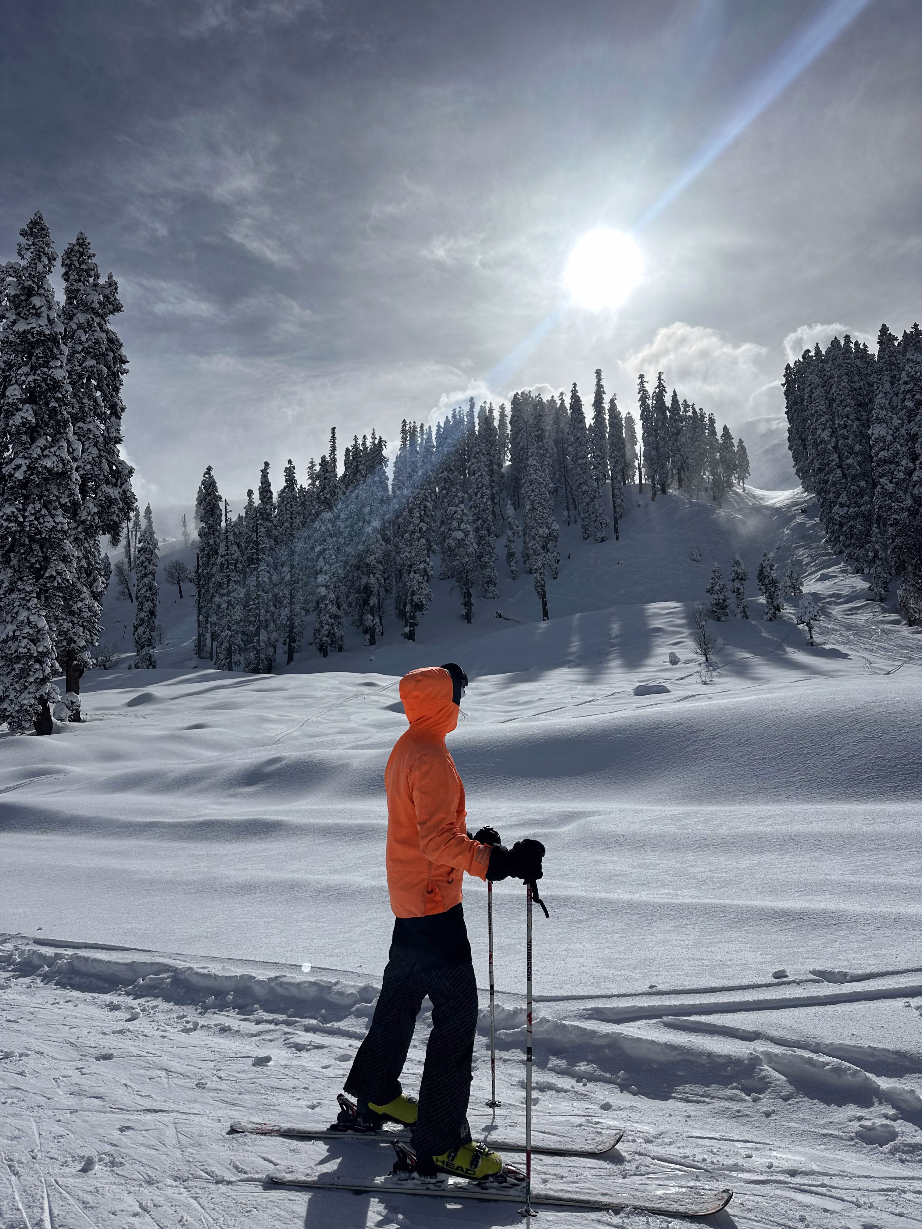 Skier in an orange jacket on a sunlit slope below the treeline in Gulmarg